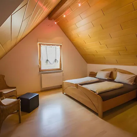 Steinhof Apartment