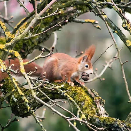Steinhof 오버키르히
