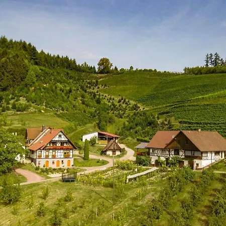 Steinhof 아파트 *