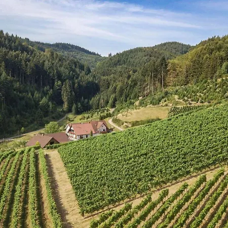 Steinhof 아파트 오버키르히