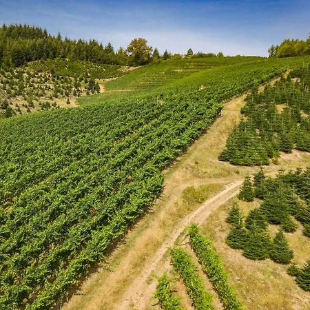 Steinhof 오버키르히