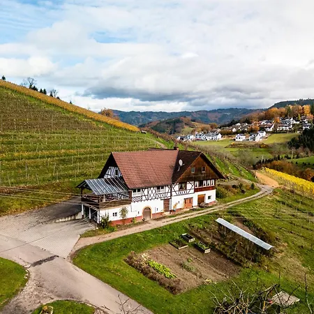 Steinhof 아파트 *