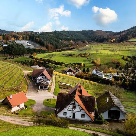 Steinhof 아파트 오버키르히