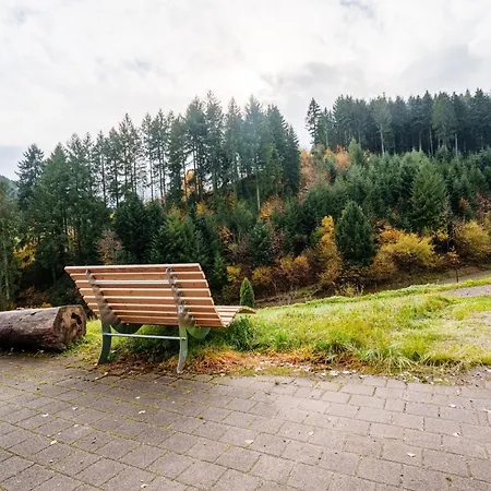 Steinhof 오버키르히