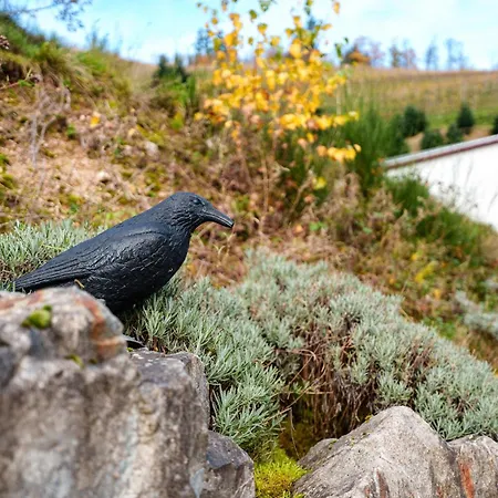 Steinhof * 오버키르히