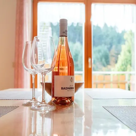 Steinhof 오버키르히